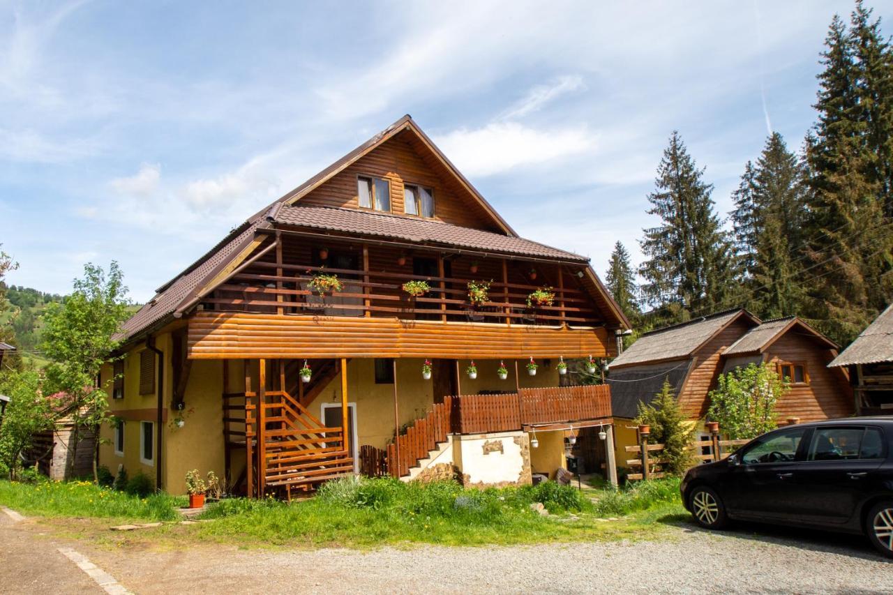 Pensiunea Viorica Arieşeni Exterior foto